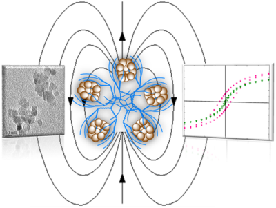 Superparamagnetic Fe3O4-Nanoparticle Arrays Coated with PEGylated-Dendrimers.