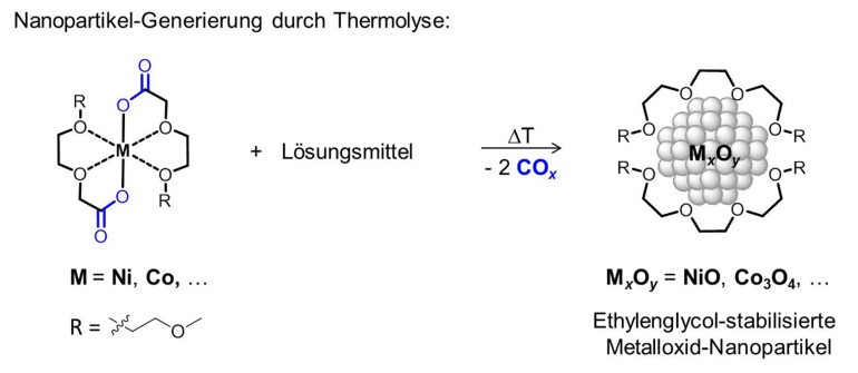 Forschungsgebiet Michael Reichel