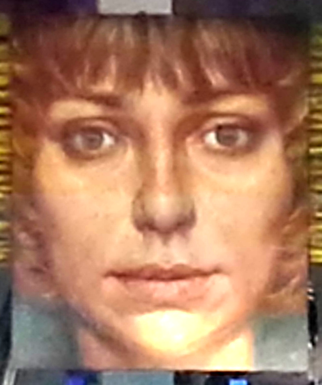 Prof. Dr. Werner A. Goedel