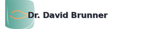 Dr.&nbsp;David&nbsp;Brunner