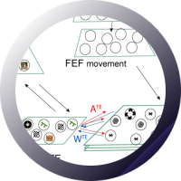 Project "Category/Object Recognition"