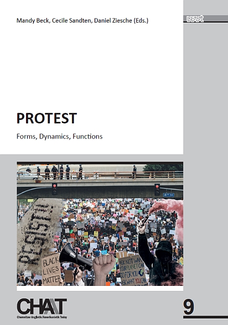 Cover of the book Protest Functions