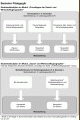 Studienablauf Profilmodul