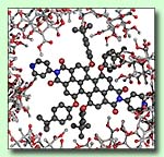 Freezing single molecule dynamics on interfaces and in polymers