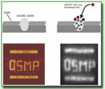 Local Anodic Oxidation Nanolithography on Silicon: Chemical Routes to Functional Nanostructures