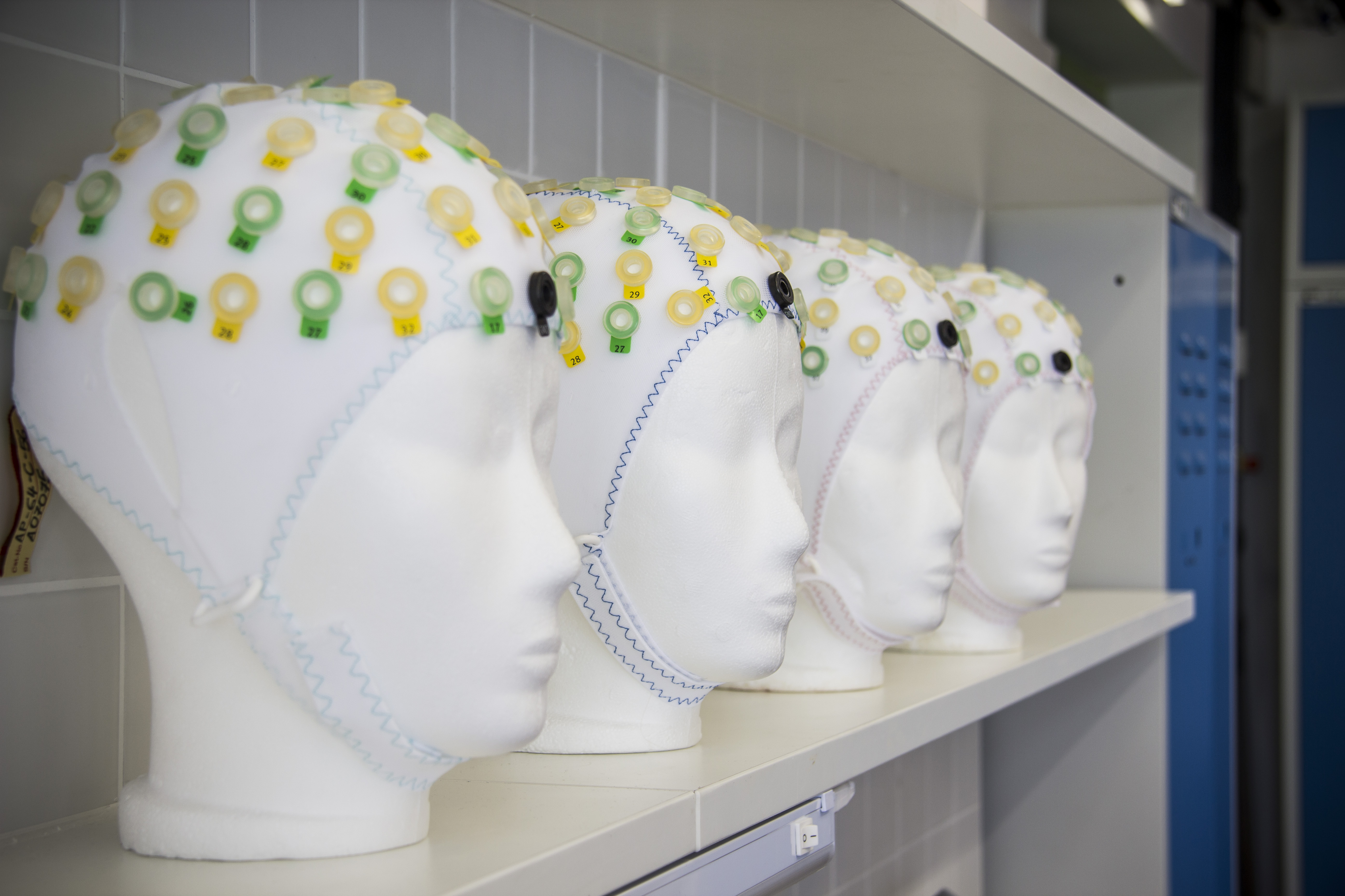 EEG-Hauben auf Styroporköpfen aufgereiht auf Regal
