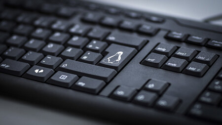 Blick auf eine Computertatstatur, auf einer Taste ist ein Pinguin zu sehen.