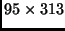 $95\times313$