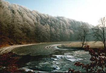 Grubenwehr