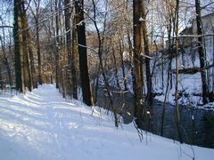 Wanderweg im Wasserwerkspark