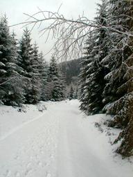 der Aschergraben bei Zinnwald im Winter