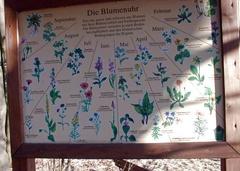 Lehrpfadtafel "Blumenuhr"