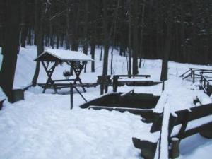 Wald bei Einsiedel