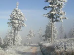 Wanderweg am Fichtelberg