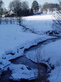 Rote_Pfuetze_und_Finkenburg.jpg