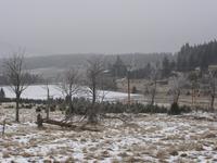 Myslivny