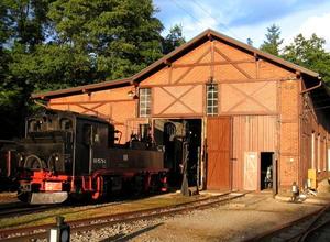 Zum Bahnhofsfest im Schmalspurbahnmuseum Rittersgrn