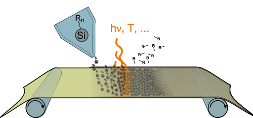 Forschungsgebiet Dr. Roy Buschbeck