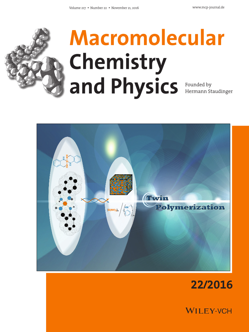 Cover: Resin / Polysilazan via Twin Polymerization
