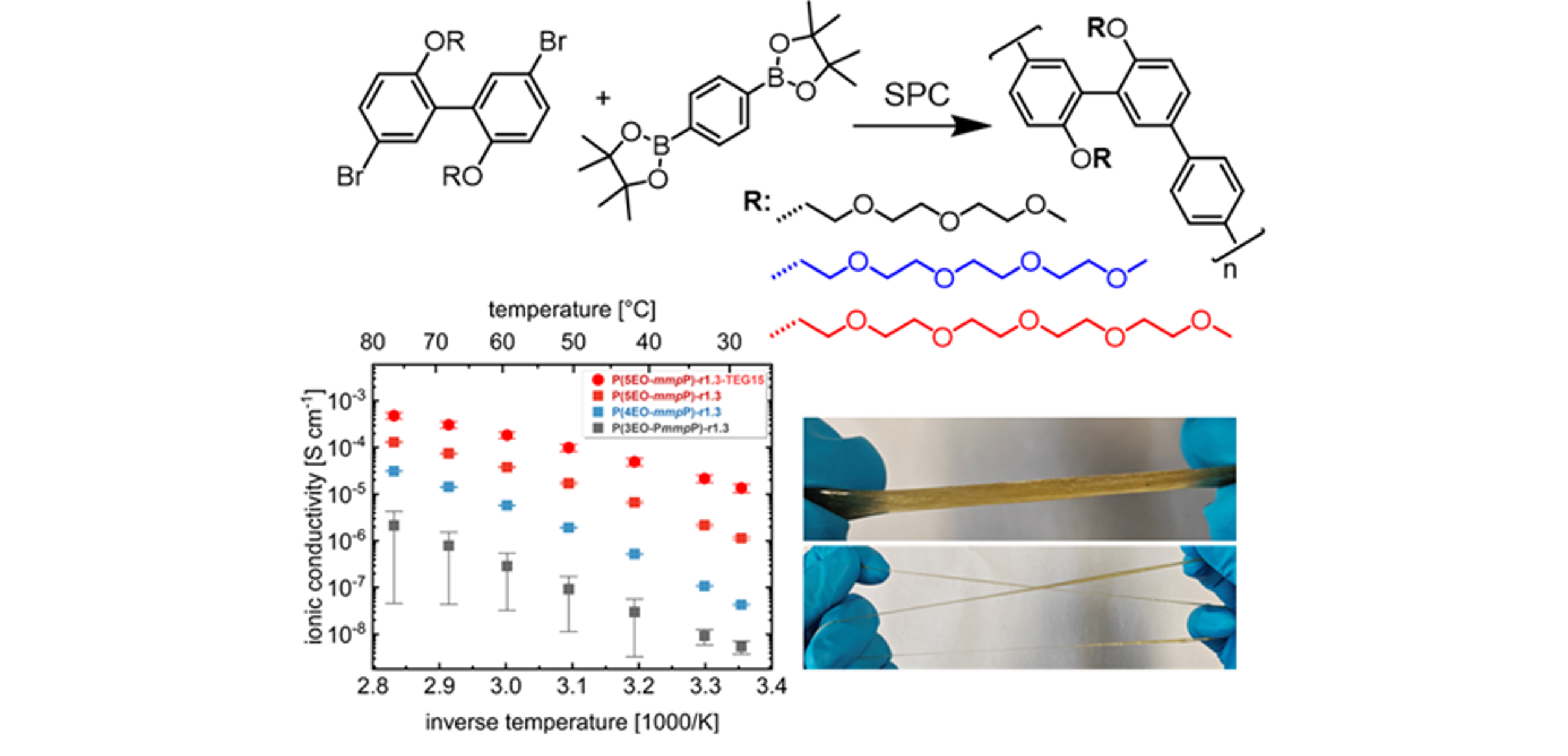 Meta-linked polyphenylenes with ethylene oxide side chains