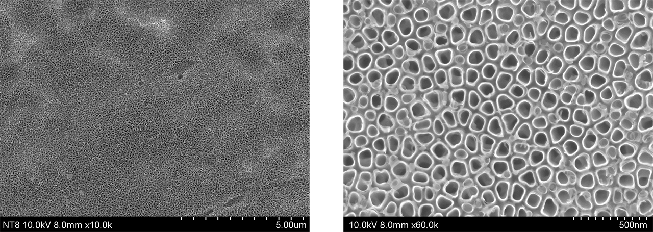 TiO2 nanotubes