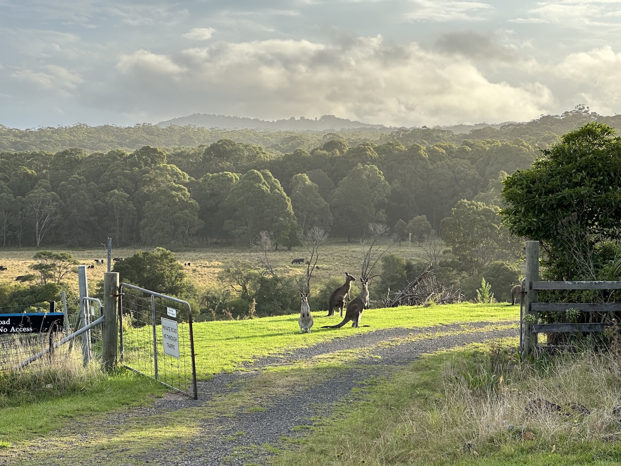 Landscape of Kioloa, Australia