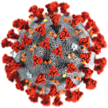 Abbildung: Corona-Virus