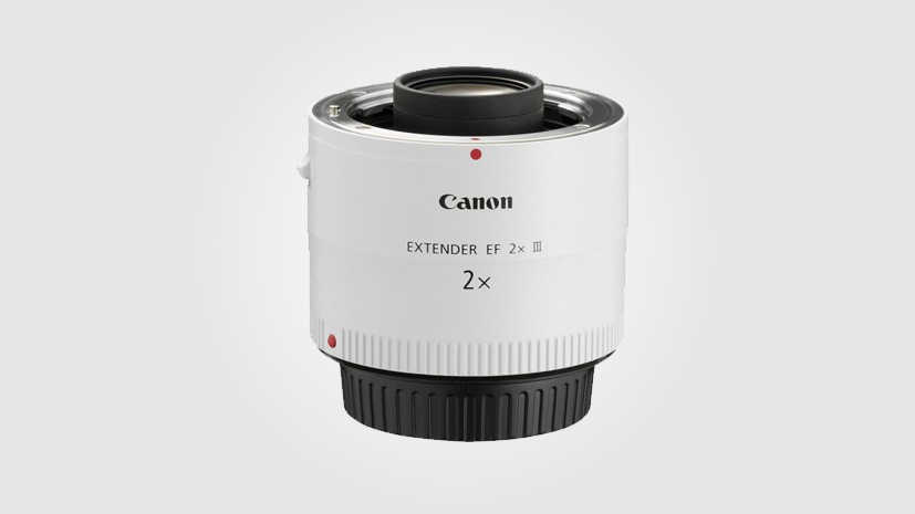 Canon Extender EF2xIII