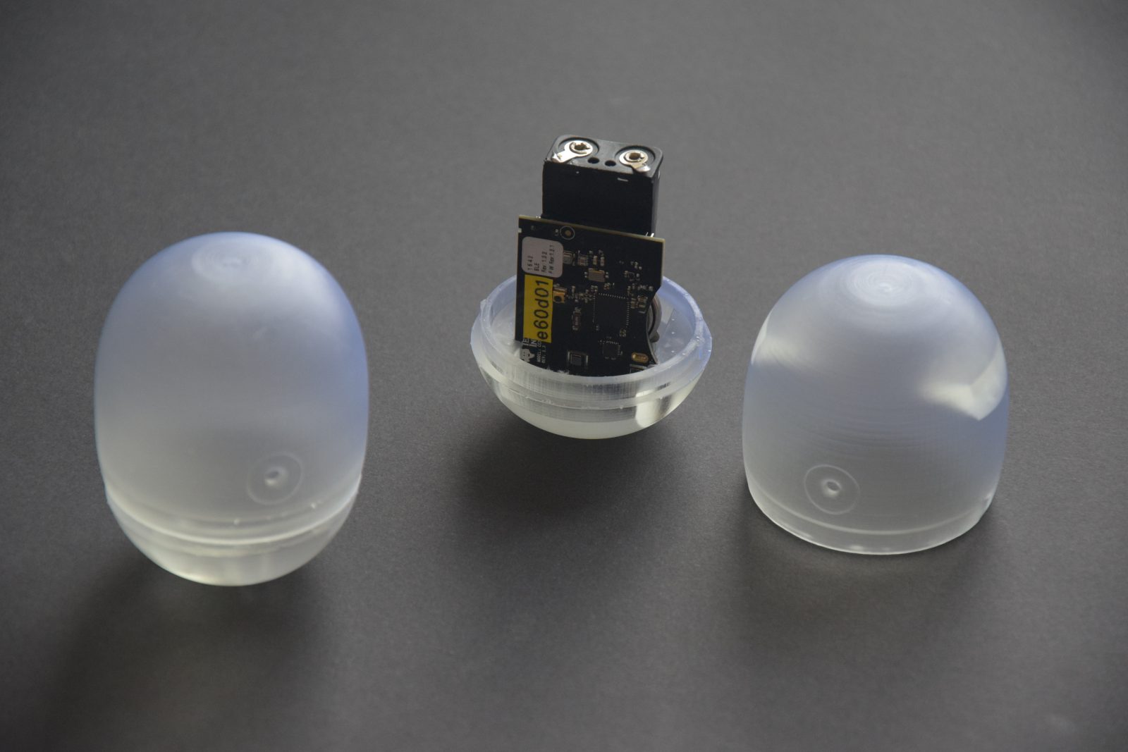 Kindred Surprise version 2