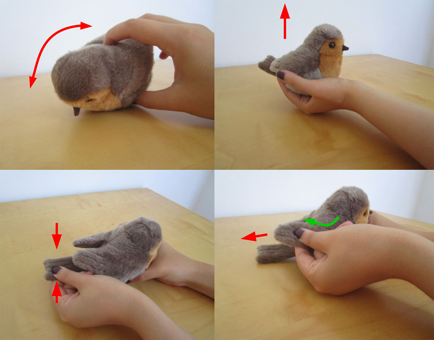 Aufbau der Elektronik des Whetherbirds