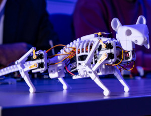 Enhancing the Dynamic Balance of a Biomimetic Mouse Robot via Lateral Spinal Flexion