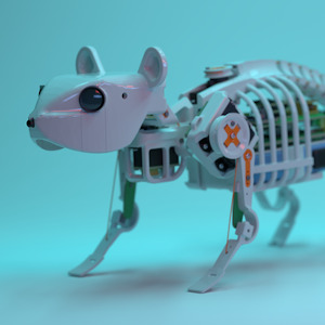 Image similar to our mouse robot.