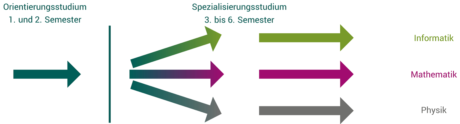 Grafik MINT Studium 1. bis 6. Semester