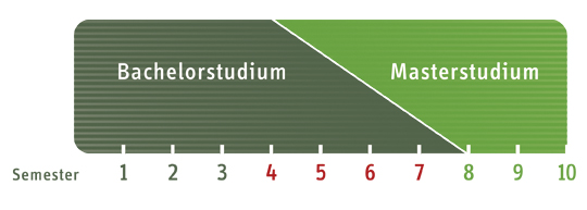 Grafik Semester im Bachelor-/Masterstudium