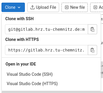 Remote-Repository