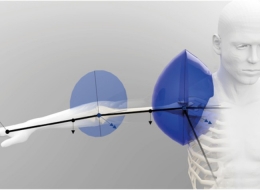 Bucherscheinung zur Modellierung maximaler menschlicher Muskelmomente auf Basis digitaler Menschmodelle 