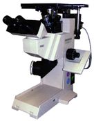 Bild Lichtmikroskopie