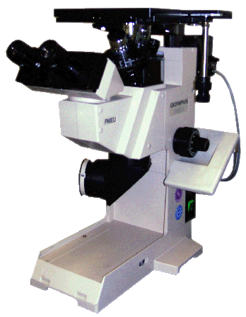 Lichtmikroskopische Untersuchungstechnik