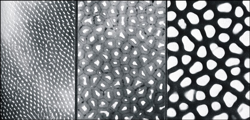 Elektronenmikroskopische Aufnahme einer anodischen Oxidschicht (links) sowie Schemata für das Andrucken von Kunststoff auf einem Metall mittels FFF (rechts). 