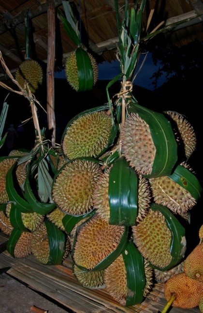 Picture from Durian
