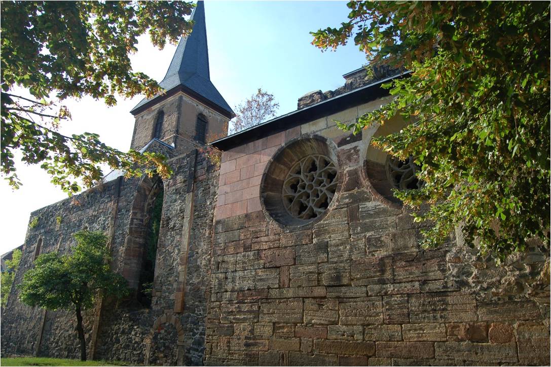 Blick durch zwei Laubbäume auf historische Kirchengemäuer mit Kirchturm