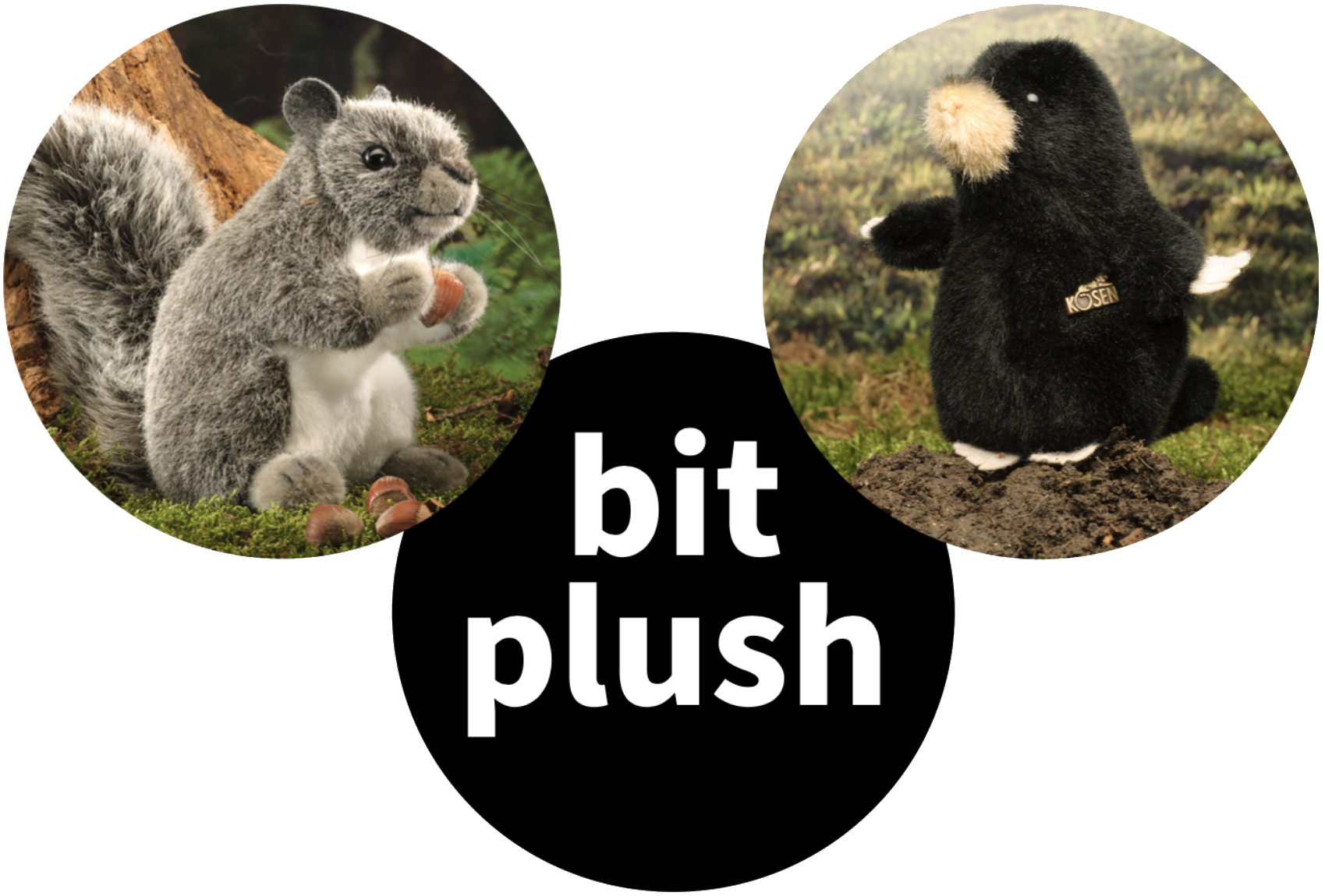 This is an example image