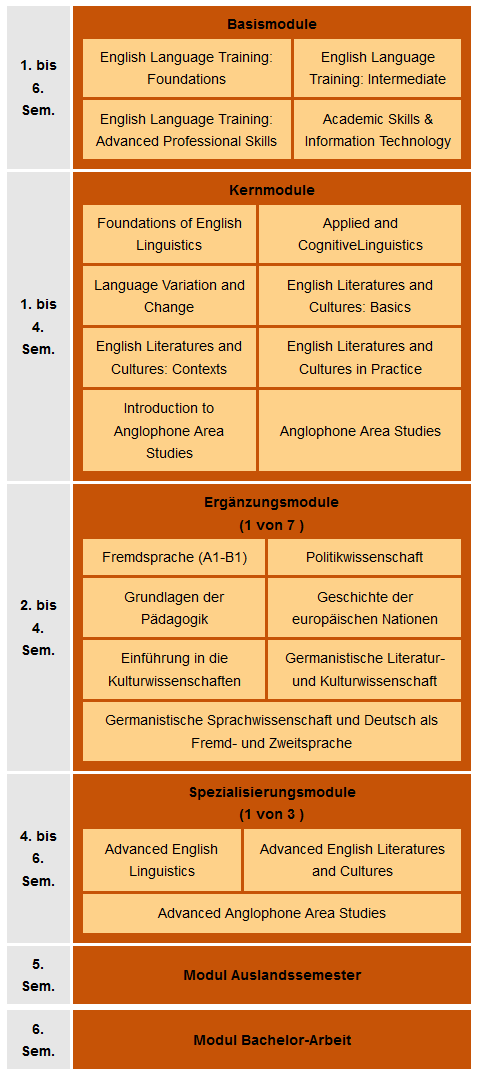 Studienablaufplan des Bachelor-Studiengangs English Studies: Die Grafik beschreibt die einzelnen Module, aus denen sich der Studiengang zusammensetzt: Vier Basismodule, die im Laufe des 1. bis 6. Semesters belegt werden, bilden die Grundlage: English Language Training, English Language Training: Intermediate, English Language Training: Advanced Professional Skills sowie Academic Skills & Information Technologie. Während des 1. bis 4. Semesters sind acht Kernmodule zu belegen: 1. Foundations of English Linguistics, 2. Applied and Cognitive Linguistics, 3. Language Variation and Change, 4. English Literatures and Cultures: Basics, 5. English Literatures and Cultures: Context, 6. English Literatures and Cultures in Practice, 7. Introduction to Anglophone Area Studies, 8. Anglophone Area Studies. Im Zeitraum vom 2. bis 4. Semester muss eines von sieben Ergänzungsmodulen absolviert werden. Zur Auswahl stehen 1. Eine weitere Fremsprache (Niveau A1-B1), 2. Politikwissenschaft, 3. Grundlagen der Pädagogik, 4. Geschichte der europäischen Nationen, 5. Einführung in die Kulturwissenschaften, 6. Germanistische Literatur- und Kulturwissenschaft und 7. Germanistische Sprachwissenschaft und Deutsch als Fremd- und Zweitsprache. Im 4. bis 6. Semester muss eines von drei Spezialisierungsmodulen absolviert werden. Hier stehen zur Auswahl 1. Advanced English Linguistics, 2. Advanced English Literatures and Cultures und 3. Advanced Anglophone Area Studies. Im 5. Semester ist das Modul Auslandssemester vorgesehen, im 6. Semester das Modul Bachelor-Arbeit, mit dem der Studiengang abgeschlossen wird.