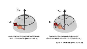 Präzession eines magnetischen Moments ohne (links) und mit Nutation