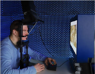 Proband an einem Eye-Tracker in einem Messraum betrachtet einen Bildschirm