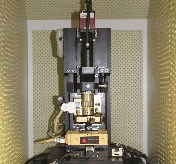 Bild des oben beschriebenen Rasterkraftmikroskops. 