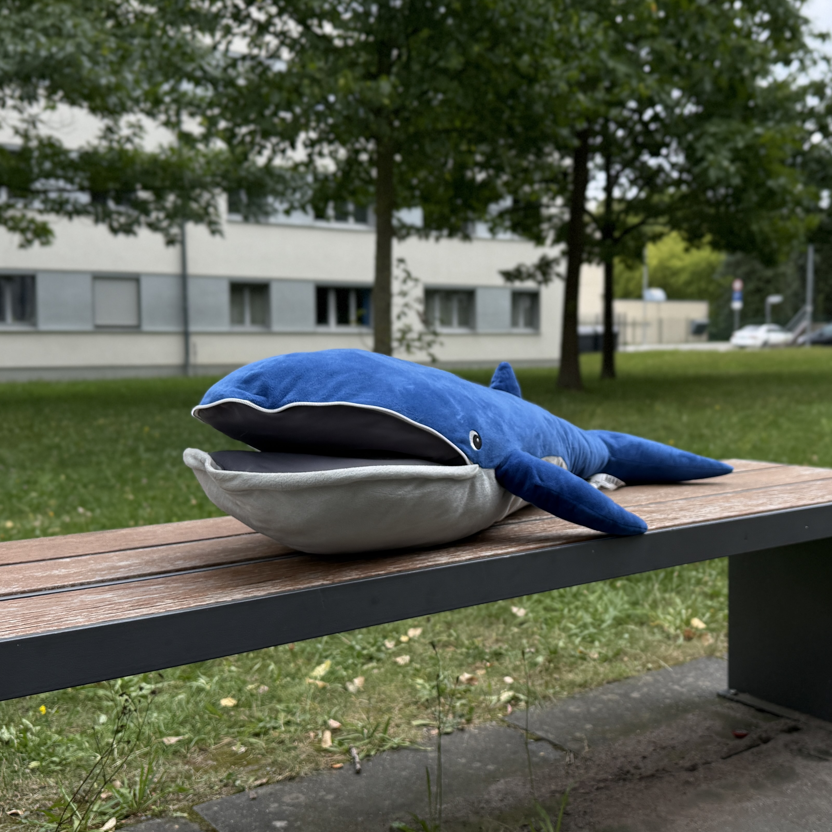 Foto von Walium