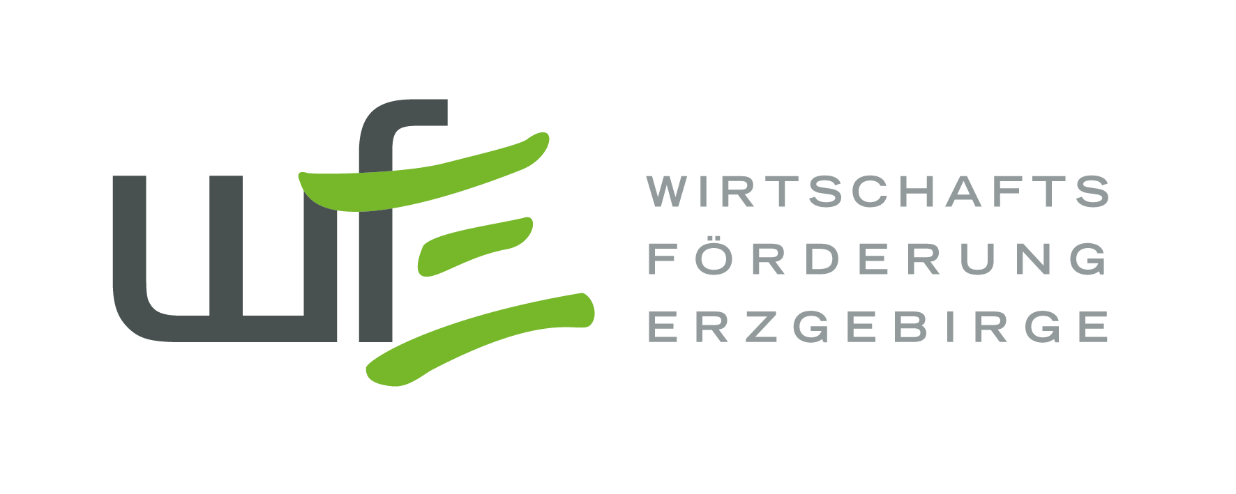 Logo: WFE Erzgebirge