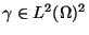 $\mathbf{\gamma}\in L^2(\Omega)^2$