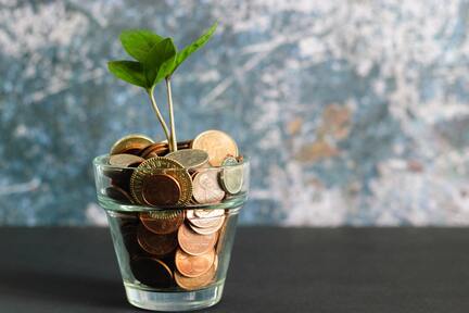 Pflanze wächst aus einem Glas mit Geldmünzen